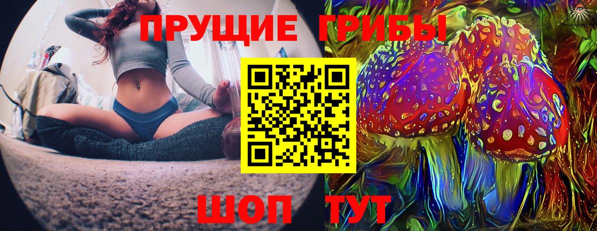Галлюциногенные грибы MAGIC MUSHROOMS  Вход с VPN  Донской  Галлюциногенные грибы GOLDEN TEACHER 