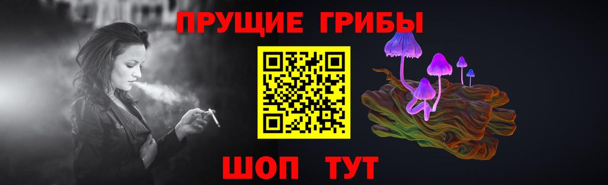 Псилоцибиновые грибы Psilocybe Донской